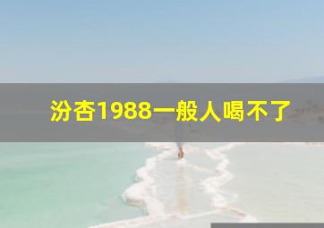 汾杏1988一般人喝不了