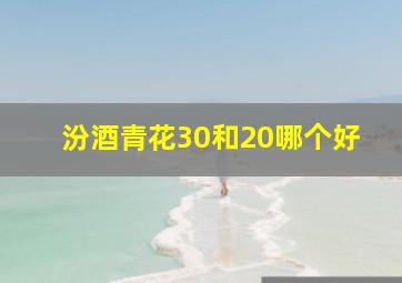 汾酒青花30和20哪个好