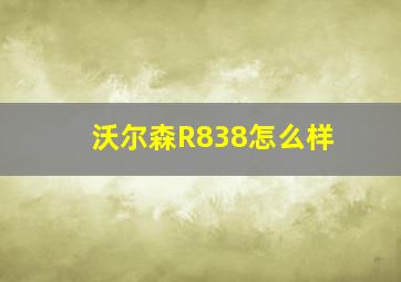 沃尔森R838怎么样