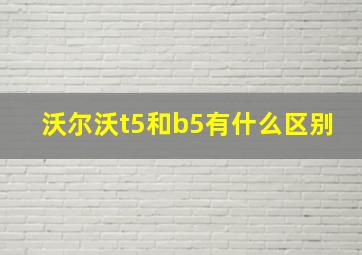 沃尔沃t5和b5有什么区别