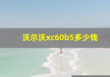 沃尔沃xc60b5多少钱