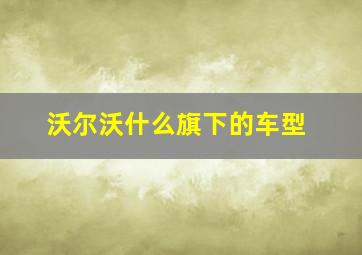 沃尔沃什么旗下的车型