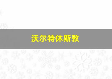 沃尔特休斯敦