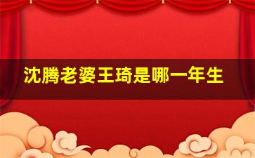 沈腾老婆王琦是哪一年生