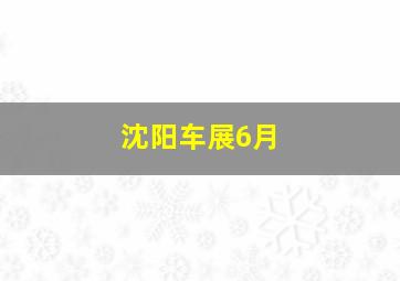 沈阳车展6月