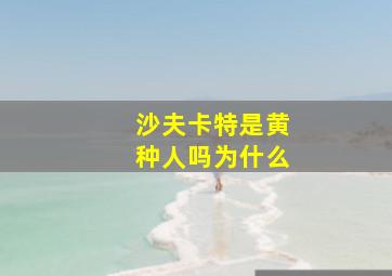 沙夫卡特是黄种人吗为什么