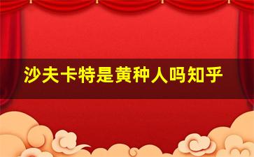 沙夫卡特是黄种人吗知乎