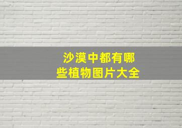 沙漠中都有哪些植物图片大全