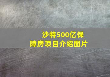 沙特500亿保障房项目介绍图片