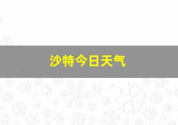 沙特今日天气