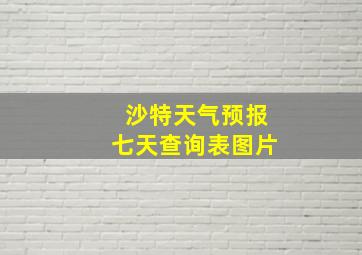 沙特天气预报七天查询表图片