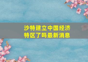 沙特建立中国经济特区了吗最新消息