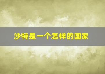 沙特是一个怎样的国家