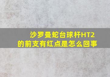 沙罗曼蛇台球杆HT2的前支有红点是怎么回事