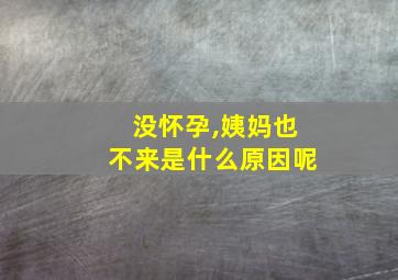 没怀孕,姨妈也不来是什么原因呢