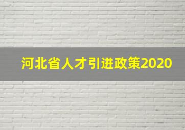 河北省人才引进政策2020