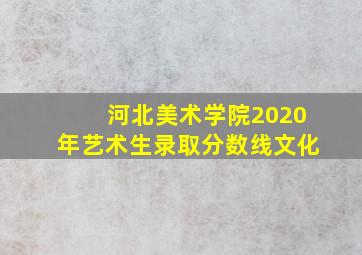 河北美术学院2020年艺术生录取分数线文化