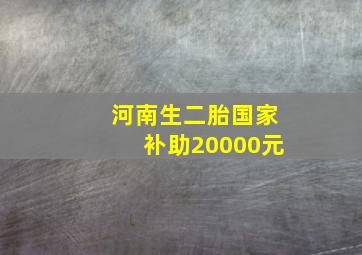 河南生二胎国家补助20000元