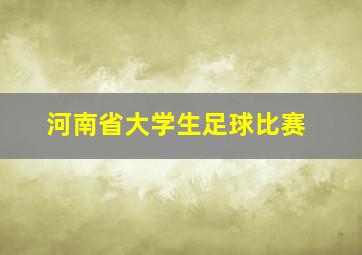 河南省大学生足球比赛