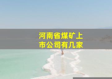 河南省煤矿上市公司有几家