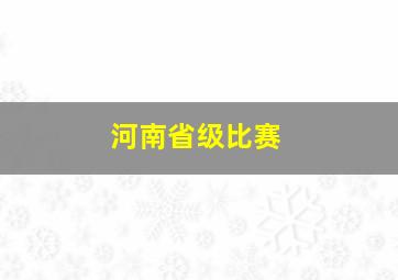 河南省级比赛