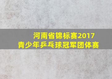 河南省锦标赛2017青少年乒乓球冠军团体赛