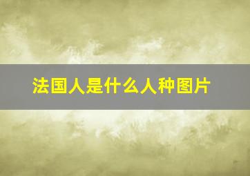 法国人是什么人种图片