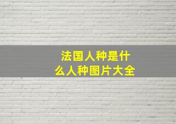 法国人种是什么人种图片大全