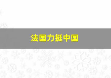 法国力挺中国