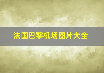 法国巴黎机场图片大全