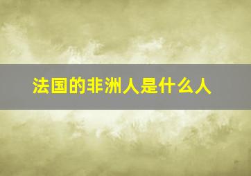 法国的非洲人是什么人