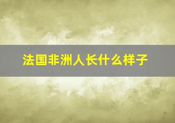 法国非洲人长什么样子