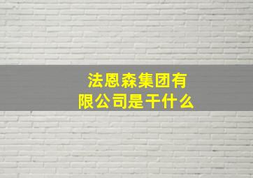 法恩森集团有限公司是干什么