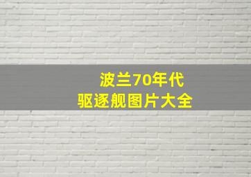 波兰70年代驱逐舰图片大全