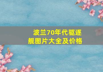 波兰70年代驱逐舰图片大全及价格