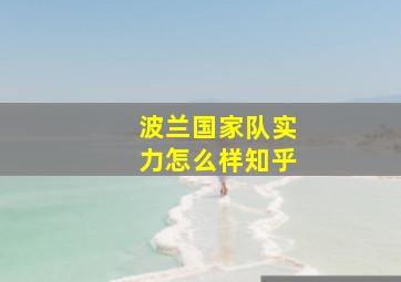 波兰国家队实力怎么样知乎