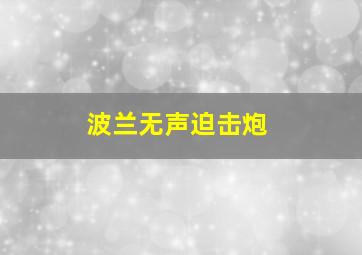 波兰无声迫击炮