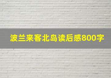 波兰来客北岛读后感800字