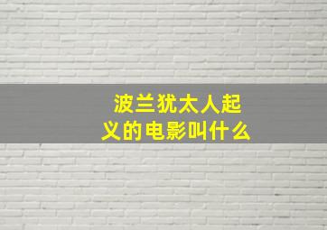 波兰犹太人起义的电影叫什么