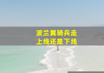 波兰翼骑兵走上线还是下线