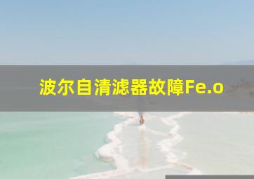 波尔自清滤器故障Fe.o