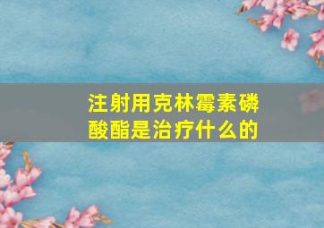 注射用克林霉素磷酸酯是治疗什么的