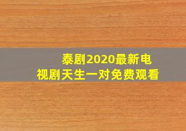 泰剧2020最新电视剧天生一对免费观看