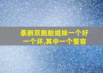 泰剧双胞胎姐妹一个好一个坏,其中一个整容