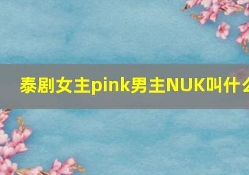 泰剧女主pink男主NUK叫什么