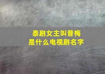 泰剧女主叫普梅是什么电视剧名字