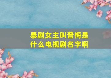 泰剧女主叫普梅是什么电视剧名字啊