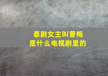 泰剧女主叫普梅是什么电视剧里的