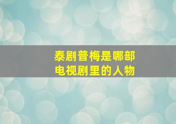 泰剧普梅是哪部电视剧里的人物