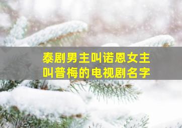 泰剧男主叫诺恩女主叫普梅的电视剧名字